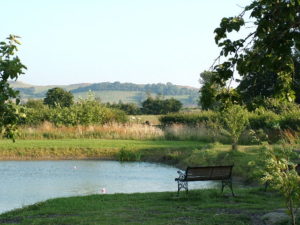 boating-lake_2